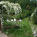 In Toscana 루카